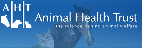 Staffordshire Bull Terriers, Animal Health Trust (AHT) 