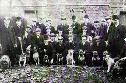 Hartlepool dog show 1900 